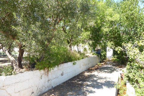 Landejendom i Baza, Granada, Baza - € 128.000 | Ref: v3013 - foto 50