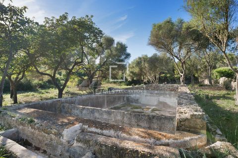 Landejendom i Canyamel, Mallorca, Canyamel - € 4.200.000 | Ref: MAL65395 - foto 38