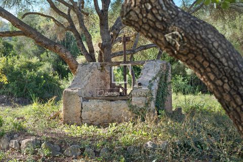 Landejendom i Canyamel, Mallorca, Canyamel - € 4.200.000 | Ref: MAL65395 - foto 40