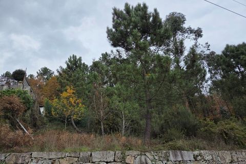 Helårsgrund i Castro Daire, Viseu, Castro Daire - € 60.000 | Ref: 0200 - foto 3