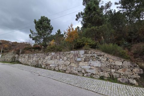 Helårsgrund i Castro Daire, Viseu, Castro Daire - € 60.000 | Ref: 0200 - foto 4