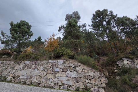 Helårsgrund i Castro Daire, Viseu, Castro Daire - € 60.000 | Ref: 0200 - foto 5