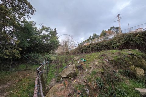 Helårsgrund i Castro Daire, Viseu, Castro Daire - € 55.000 | Ref: 0193 - foto 5