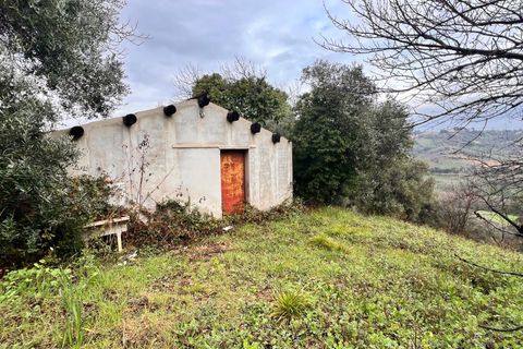 Tomt i Spoltore, Pescara, Spoltore - € 148 000 | Ref: 1838042 - foto 4