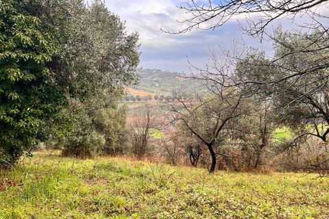 Tomt i Spoltore, Pescara, Spoltore - € 148 000 | Ref: 1838042 - foto 7