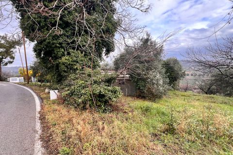 Tomt i Spoltore, Pescara, Spoltore - € 148 000 | Ref: 1838042 - foto 10