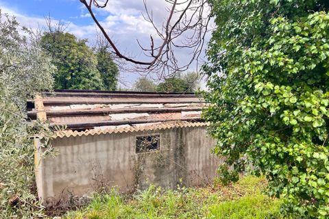 Tomt i Spoltore, Pescara, Spoltore - € 148 000 | Ref: 1838042 - foto 12