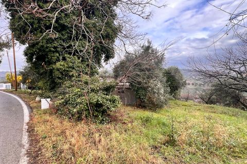 Tomt i Spoltore, Pescara, Spoltore - € 148 000 | Ref: 1838042 - foto 13