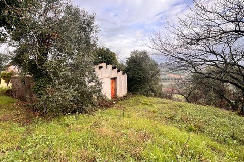 Tomt i Spoltore, Pescara, Spoltore - € 148 000 | Ref: 1838042 - foto 15