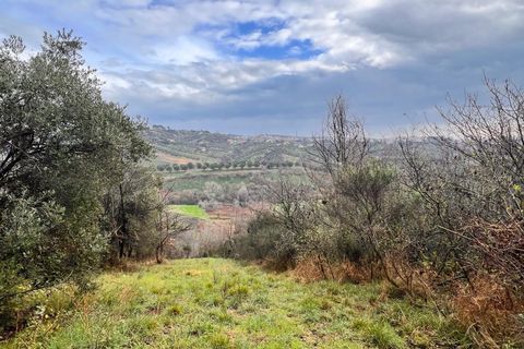 Tomt i Spoltore, Pescara, Spoltore - € 148 000 | Ref: 1838042 - foto 16