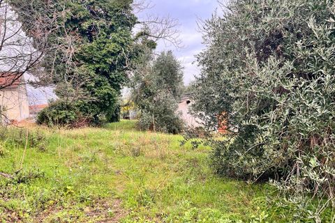 Tomt i Spoltore, Pescara, Spoltore - € 148 000 | Ref: 1838042 - foto 17