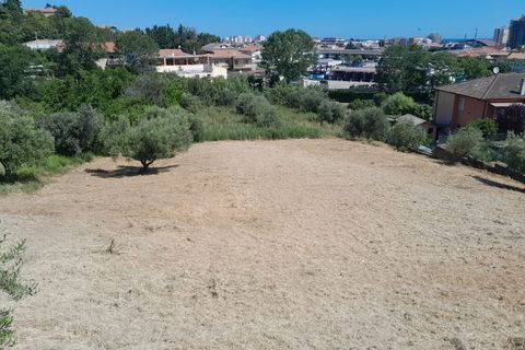 Terra a Pescara, Pescara, Pescara - € 24.000 | Ref: 1838158 - foto 2