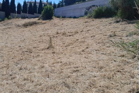 Terra a Pescara, Pescara, Pescara - € 24.000 | Ref: 1838158 - foto 3