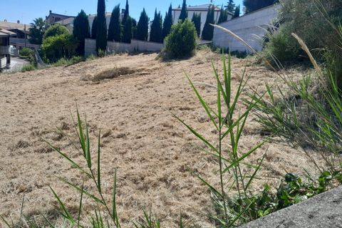 Terra a Pescara, Pescara, Pescara - € 24.000 | Ref: 1838158 - foto 4