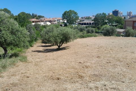 Terra a Pescara, Pescara, Pescara - € 24.000 | Ref: 1838158 - foto 6