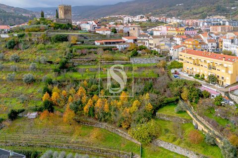 Villa i Lamego, Viseu, Lamego - € 1.100.000 | Ref: 20251150EC/12937 - foto 20