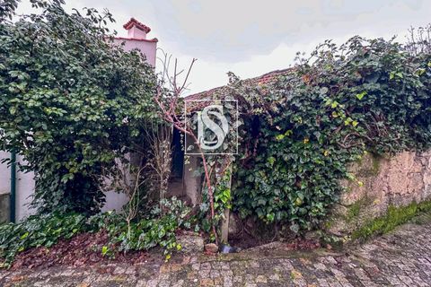 Villa i Amarante, Porto, Amarante - € 109.000 | Ref: 20251162DF/12937 - foto 10