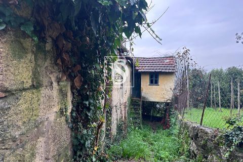 Villa i Amarante, Porto, Amarante - € 109.000 | Ref: 20251162DF/12937 - foto 12
