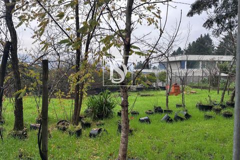 Villa i Amarante, Porto, Amarante - € 109.000 | Ref: 20251162DF/12937 - foto 14