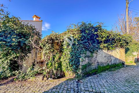 Villa i Amarante, Porto, Amarante - € 109.000 | Ref: 20251162DF/12937 - foto 17