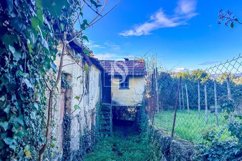 Villa i Amarante, Porto, Amarante - € 109.000 | Ref: 20251162DF/12937 - foto 19