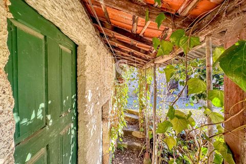 Villa i Amarante, Porto, Amarante - € 109.000 | Ref: 20251162DF/12937 - foto 23