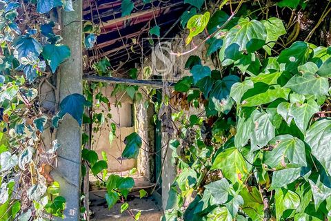 Villa i Amarante, Porto, Amarante - € 109.000 | Ref: 20251162DF/12937 - foto 25