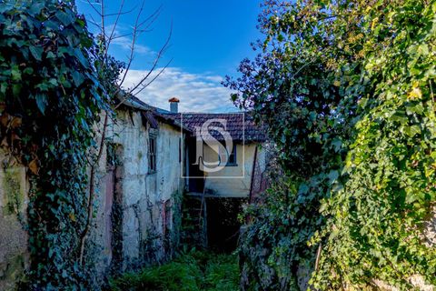 Villa i Amarante, Porto, Amarante - € 109.000 | Ref: 20251162DF/12937 - foto 27