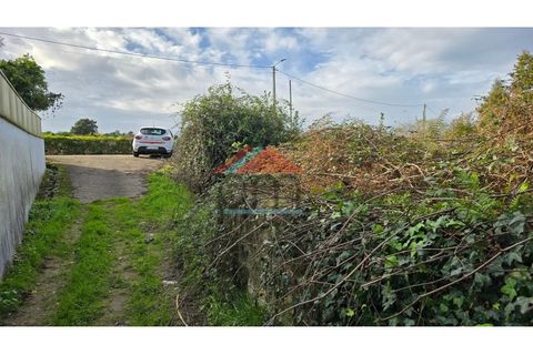 Terra a Bela, Viana do Castelo, Bela - € 33.000 | Ref: TR516 - foto 2