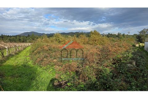 Terra a Bela, Viana do Castelo, Bela - € 33.000 | Ref: TR516 - foto 3
