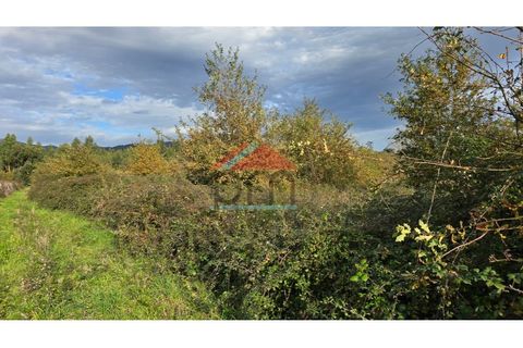 Terra a Bela, Viana do Castelo, Bela - € 33.000 | Ref: TR516 - foto 4