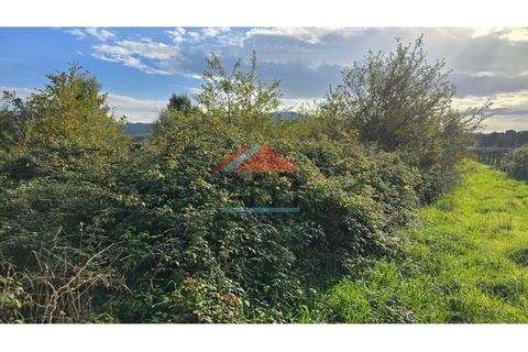 Terra a Bela, Viana do Castelo, Bela - € 33.000 | Ref: TR516 - foto 5
