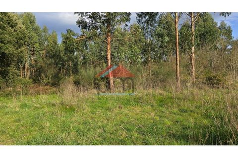 Terra a Bela, Viana do Castelo, Bela - € 33.000 | Ref: TR516 - foto 6