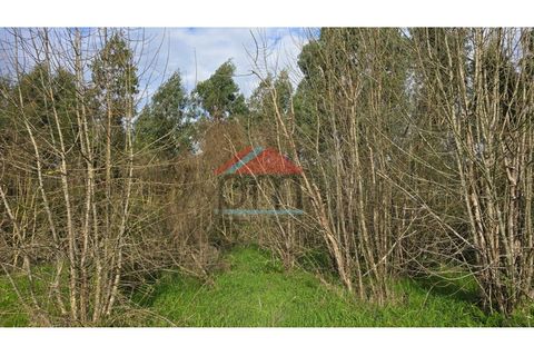 Terra a Bela, Viana do Castelo, Bela - € 33.000 | Ref: TR516 - foto 7