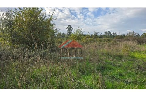 Terra a Bela, Viana do Castelo, Bela - € 33.000 | Ref: TR516 - foto 8