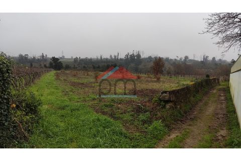 Terra a Bela, Viana do Castelo, Bela - € 33.000 | Ref: TR516 - foto 9