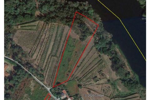 Terra a Bela, Viana do Castelo, Bela - € 33.000 | Ref: TR516 - foto 10