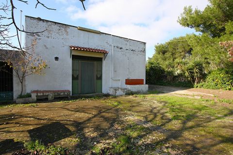 Villa i Ruffano, Lecce, Ruffano - € 89.000 | Ref: MNGP-89CAM - foto 2