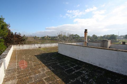Villa i Ruffano, Lecce, Ruffano - € 89.000 | Ref: MNGP-89CAM - foto 3