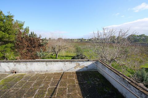 Villa i Ruffano, Lecce, Ruffano - € 89.000 | Ref: MNGP-89CAM - foto 5