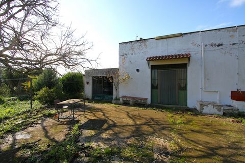 Villa i Ruffano, Lecce, Ruffano - € 89.000 | Ref: MNGP-89CAM - foto 8