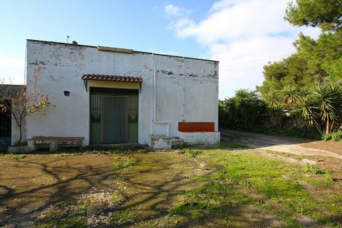 Villa i Ruffano, Lecce, Ruffano - € 89.000 | Ref: MNGP-89CAM - foto 9