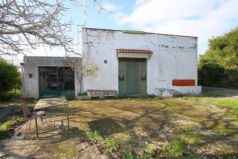 Villa i Ruffano, Lecce, Ruffano - € 89.000 | Ref: MNGP-89CAM - foto 10