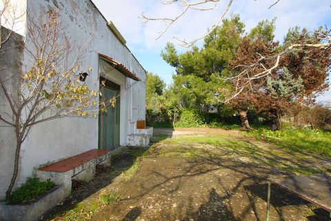 Villa i Ruffano, Lecce, Ruffano - € 89.000 | Ref: MNGP-89CAM - foto 11