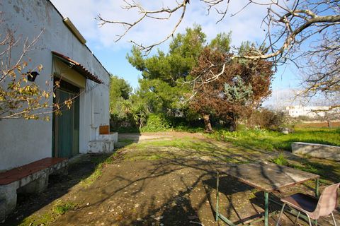 Villa i Ruffano, Lecce, Ruffano - € 89.000 | Ref: MNGP-89CAM - foto 13