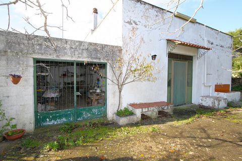 Villa i Ruffano, Lecce, Ruffano - € 89.000 | Ref: MNGP-89CAM - foto 14
