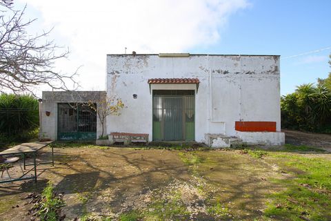 Villa i Ruffano, Lecce, Ruffano - € 89.000 | Ref: MNGP-89CAM - foto 15