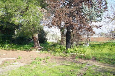Villa i Ruffano, Lecce, Ruffano - € 89.000 | Ref: MNGP-89CAM - foto 17