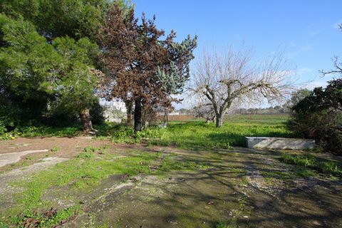 Villa i Ruffano, Lecce, Ruffano - € 89.000 | Ref: MNGP-89CAM - foto 18