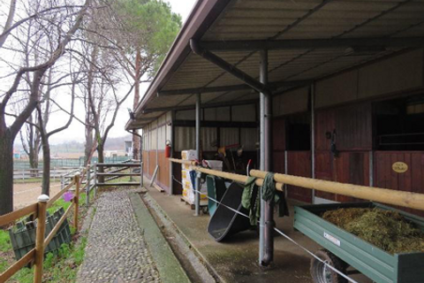 Villa i Affi, Verona, Affi - € 742 500 | Ref: GB27052026 - foto 27